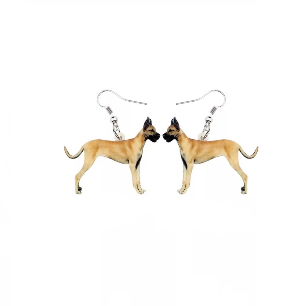 GEOMETRIC Laser Cut Acrylic Earrings. NWT